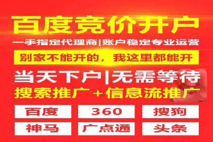 竞价排名在搜索引擎营销中的运用案例